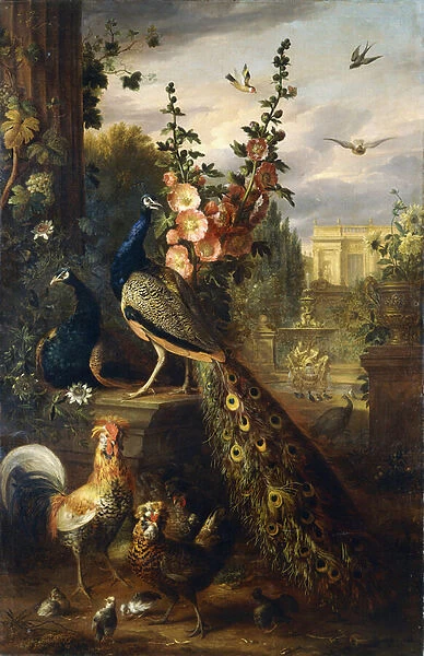Two Peacocks on a Stone Plinth in a Garden, (oil on canvas)