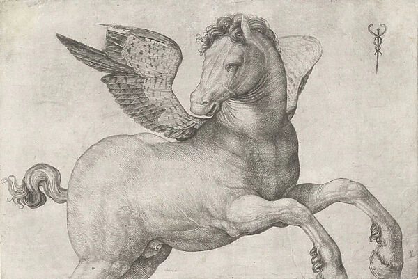 Pegasus, 1509-16 (engraving)