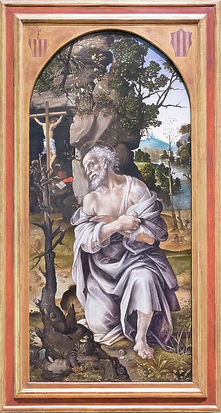 The penitent st Jerome, 1493-95, (tempera on wood)