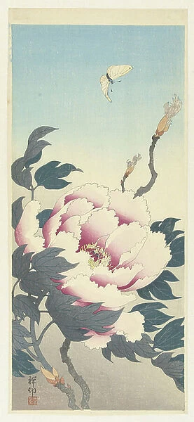 Peony and a butterfly, 1925-36 (colour woodcut)