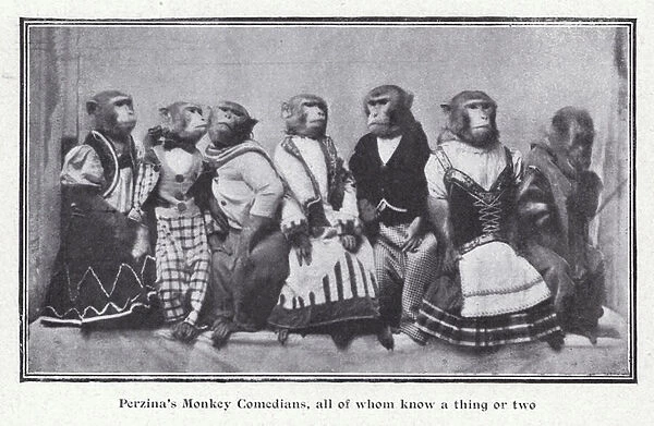 Perzinas Monkey Comedians (b  /  w photo)
