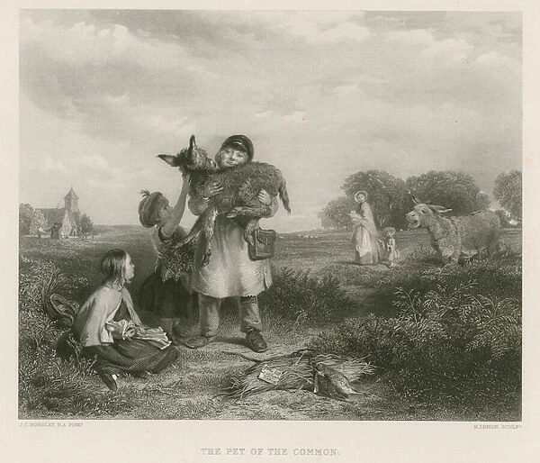 The Pet of the Common (engraving)