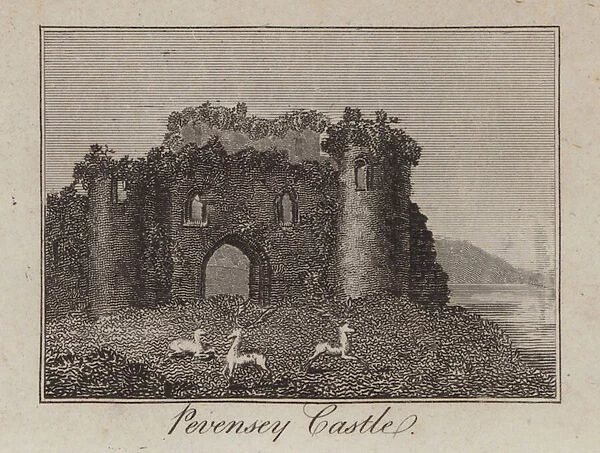 Pevensey Castle, Sussex (engraving)