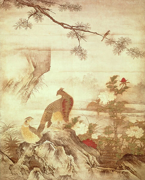Pheasants and peonies, from a series of scrolls representing Birds and Flowers of the Four Seasons