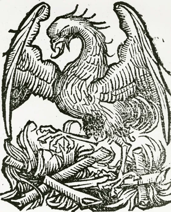 Framed Print : Phoenix. UIG672917 Phoenix; (add.info.: The phoenix is a mythical sacred Framed Print : Phoenix. UIG672917 Phoenix; (add.info.: The phoenix is a mythical sacred