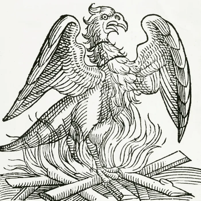 Framed Print : Phoenix. UIG672916 Phoenix; (add.info.: The phoenix is a mythical sacred