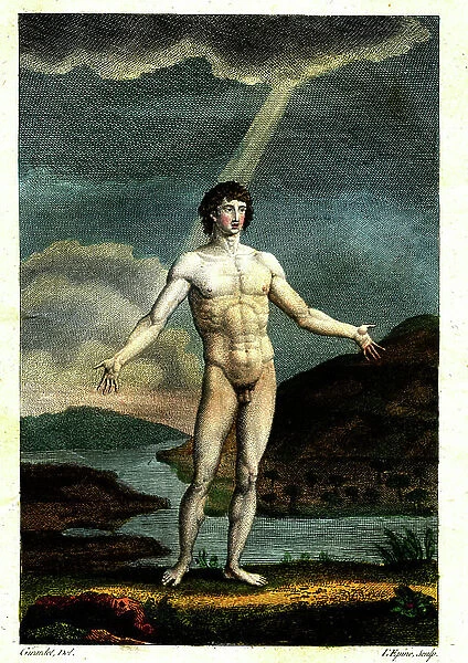 Physical and moral system of man, From artwork by Dr, Pierre Roussel Publishers : Caille et Ravier , Rue Pave Saint Andre des Arts N 17, Paris , 1809