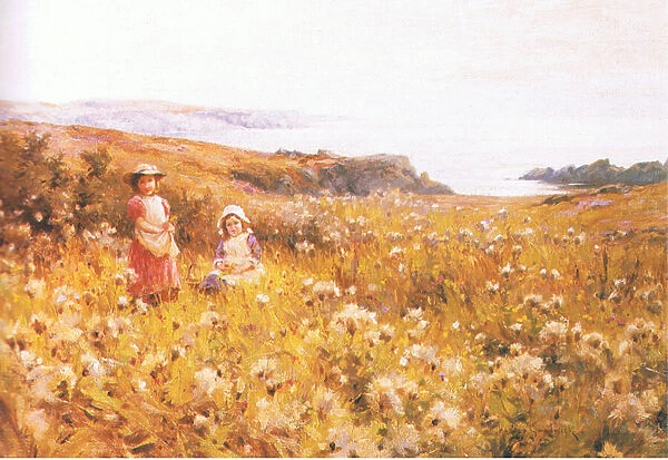 Picking buttercups, from from magazine or book source unknown (colour litho)