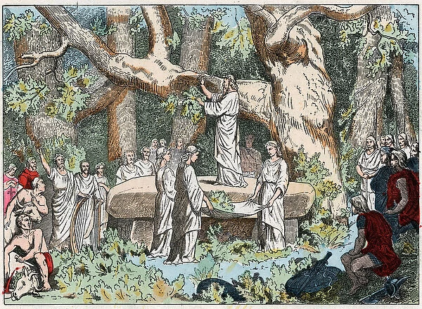 Picking mistletoe from the druids in Gaule, end of 19th century (engraving)
