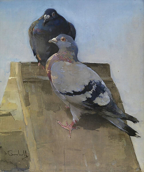 Pigeons on the Roof (gouache on linen)