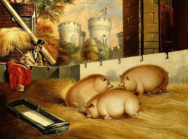 Three Pigs with Castle in the Background