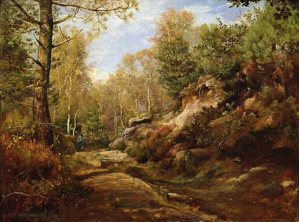 Pines and Birch Trees or, The Forest of Fontainebleau, c. 1855-57 (oil on panel)