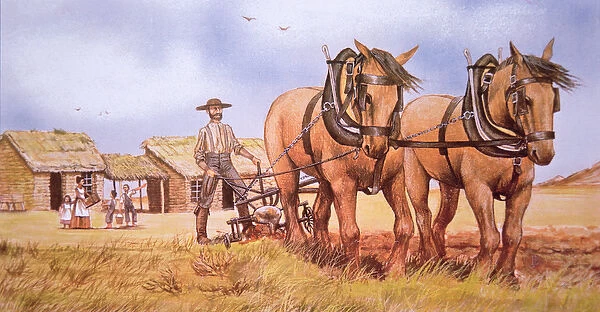 Pioneer farmer (colour litho)