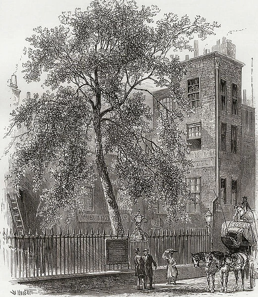 The Plane Tree, Wood Street, Cheapside, London, England in the 19th century, 1890 (print)