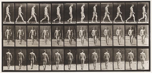 Plate 1. Walking, 1872-85 (collotype on paper)