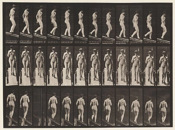 Plate 119. Descending Incline, Right Hand on Breast (Shoes), 1872-85 (collotype on paper)