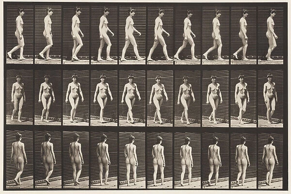 Plate 16. Walking, 1872-85 (collotype on paper)