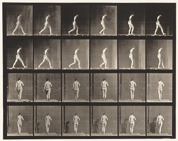 Plate 20. Walking, Right Elbow Bent, 1872-85 (collotype on paper)