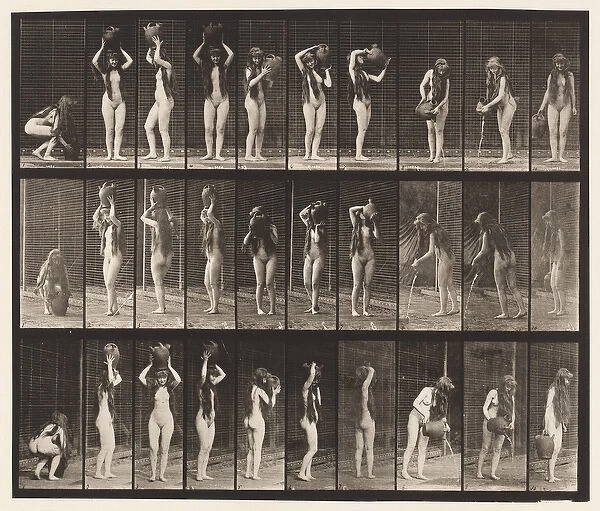 Plate 500. Various Movements with Water-Jar, 1872-85 (collotype on paper)