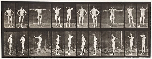 Plate 529. Various Poses, 1872-85 (collotype on paper)
