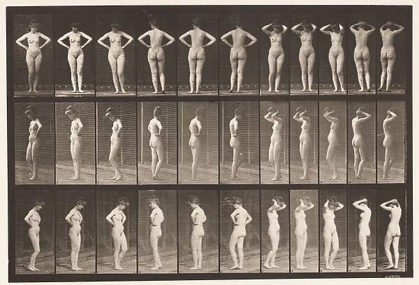 Plate 531. Various Poses, 1872-1885 (collotype on paper)