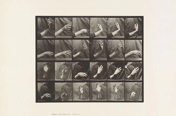 Plate 535. Movement of the Hand; Beating Time, 1885 (collotype on paper)