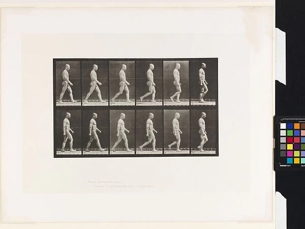 Plate 6. Walking, 1885 (collotype on paper)