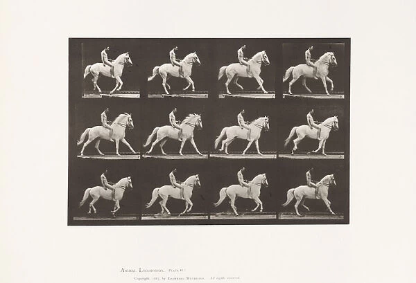 Plate 617. Canter; Bareback; Rider, 106, Nude; White Horse Clinton