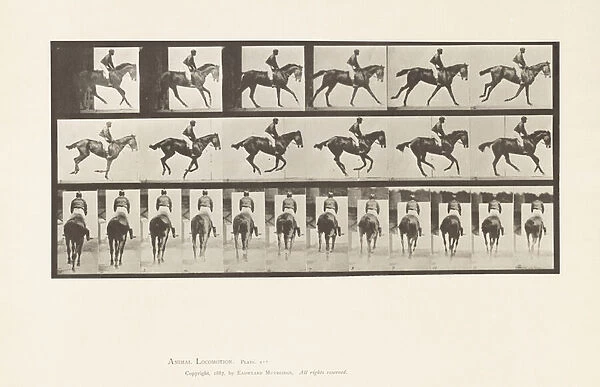 Plate 620. Canter; Saddle; Thoroughbred Bay Mare Annie 6. 1885 (collotype on paper)