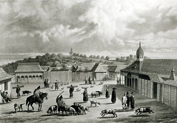Plaza de San-Carlos de Chiloe, 1835 (litho) (b  /  w photo)]