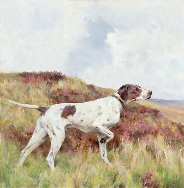 A Pointer (oil on board)