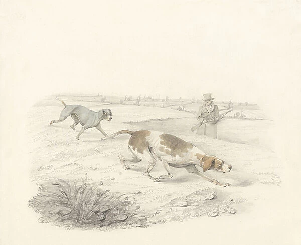 Two Pointers, facing right with a Sportsman (graphite & w  /  c on paper)
