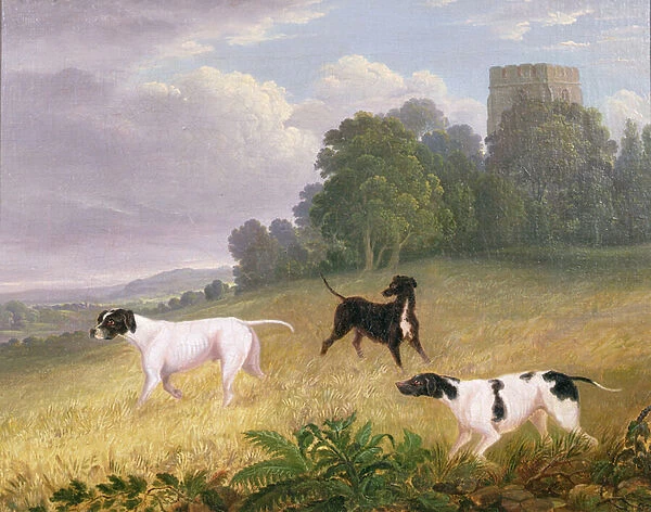 Pointers in a Landscape (oil on canvas)