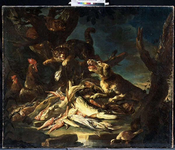 Poissons (Fish). Peinture de Frans Snyders (1579-1657). Huile sur toile, 1620. Ecole flamande, art baroque. Mikhail Kroshitsky Art Museum, Sevastopol (Sebastopol) Ukraine