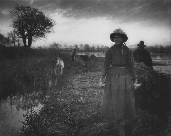 Poling the Marsh Hay, 1886 (platinum print from glass negative)
