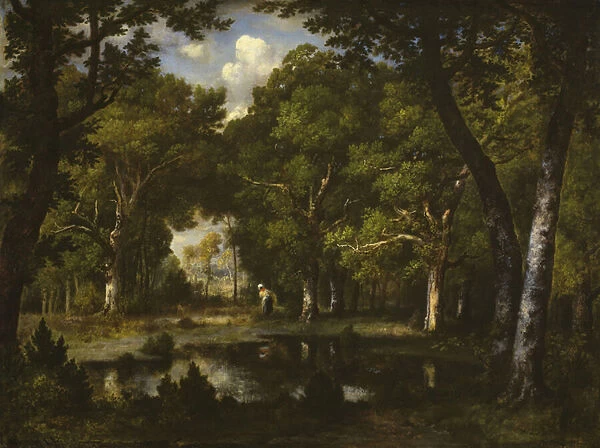 Pond in the Woods, 1862 (oil on canvas)