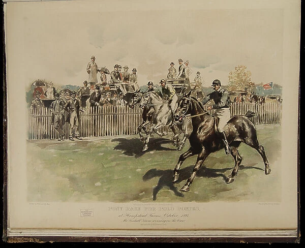 Pony Race for Polo Ponies, 1893