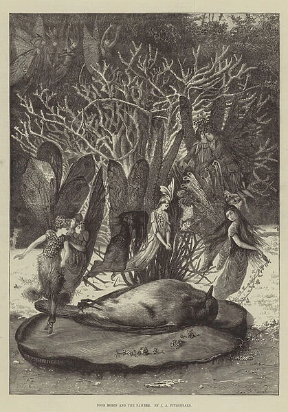 Poor Robin and the Fairies (engraving)