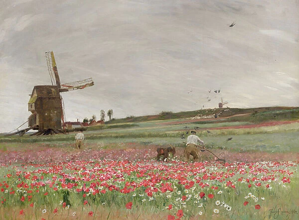 Poppy Field, 1886 (oil on canvas)