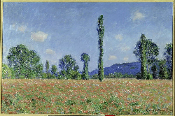 Poppy Field, 1890 (oil on canvas)