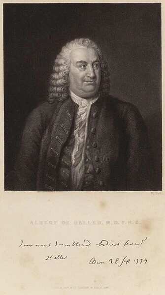 Portrait of Albert de Haller (engraving)