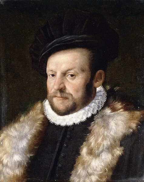 Portrait of a Bearded Gentleman, bust length, wearing a Black Jacket with a White Ruff