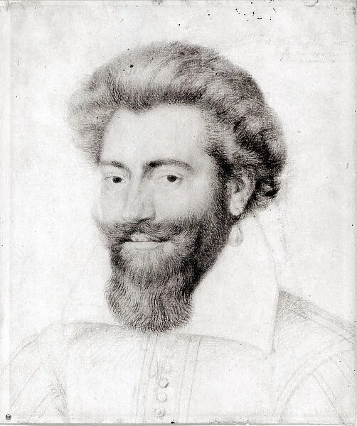 Portrait of a Bearded Man (red chalk, pierre noire & chalk on paper) (b  /  w photo)