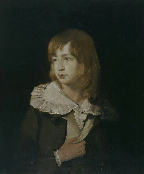 Portrait of a Boy, John Parry of Garden, c.1788-89 (oil on canvas)