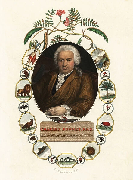 Portrait of Charles Bonnet, Genevan naturalist. 1803 (engraving)