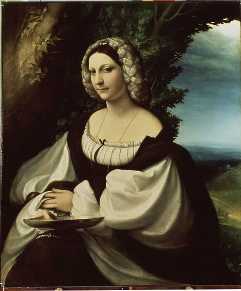 'Portrait de dame'(Portrait of a lady) Ils agirait soit de la poetesse Ginevra Rangone soit de Veronica Gambara (1485-1550), personnalites de la ville de Correggio