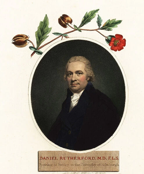 Portrait of Daniel Rutherford, botanist. 1805 (engraving)