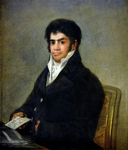 Portrait of Don Francisco del Mazo, circa 1815-1820 (oil on canvas)