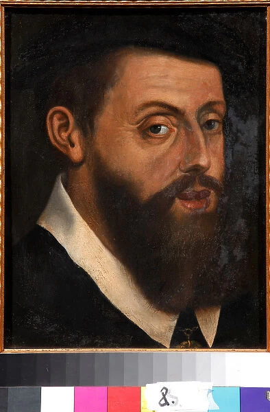 Portrait of the Emperor Charles V