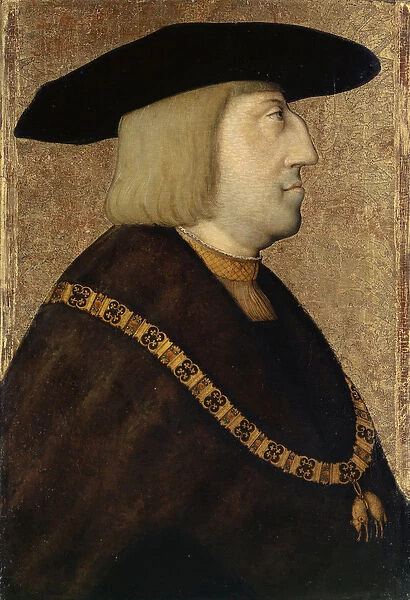 Portrait of Emperor Maximilian I (oil on wood)